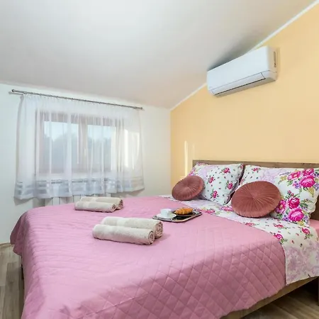 Pet Friendly In *
